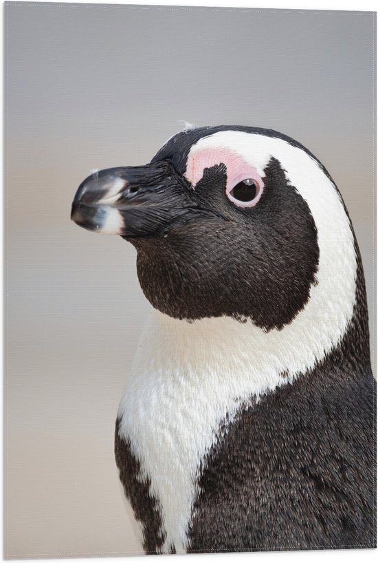 Vlag - Hoofd van Pinguïn - 50x75 cm Foto op Polyester Vlag