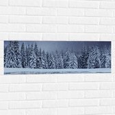 Muursticker - Heldere Sterrenhemel boven Dichtbegroeid Bos in Sneeuw Landschap - 90x30 cm Foto op Muursticker