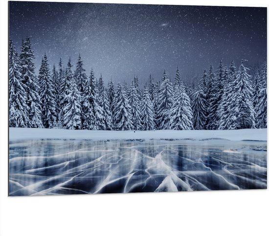 Dibond - Heldere Sterrenhemel boven Dichtbegroeid Bos in Sneeuw Landschap - 100x75 cm Foto op Aluminium (Met Ophangsysteem)