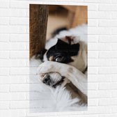 Muursticker - Verstoppende Hond - 50x100 cm Foto op Muursticker