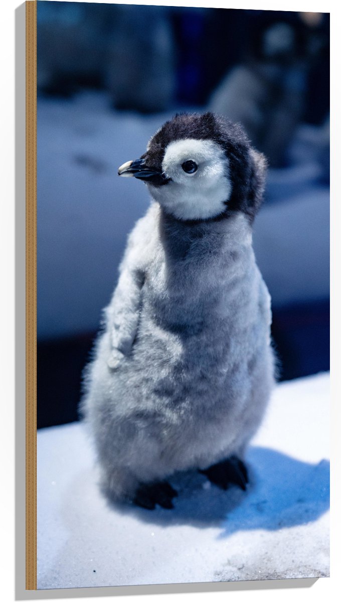 Hout - Baby Pinguïn in de Sneeuw - 50x100 cm - 9 mm dik - Foto op Hout (Met Ophangsysteem)