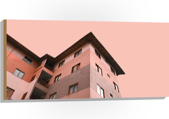 WallClassics - Hout - Gekleurd Appartement met Roze lucht - 100x50 cm - 9 mm dik - Foto op Hout (Met Ophangsysteem)
