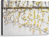 WallClassics - Canvas - Gele Bloemen aan de Muur - 100x75 cm Foto op Canvas Schilderij (Wanddecoratie op Canvas)