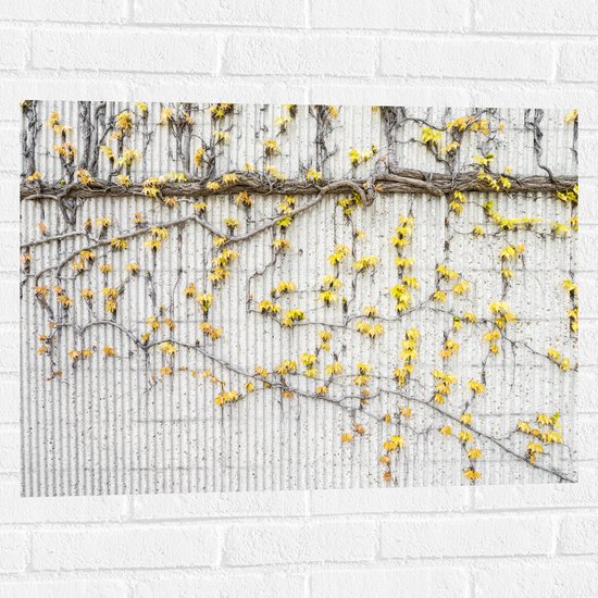 WallClassics - Muursticker - Gele Bloemen aan de Muur - 80x60 cm Foto op Muursticker
