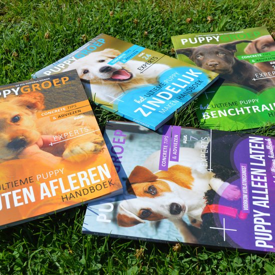 Puppy boeken van Puppygroep (4 boeken) - Robbin Kleinpenning