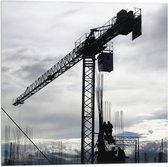 WallClassics - Drapeau - Grue - 50x50 cm Photo sur Drapeau Polyester