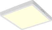 Panneau LED - 30x30 blanc chaud 3000K - carré monté en surface 28W - blanc mat - sans scintillement