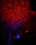 Een donkere kamer verlicht door een rode sterrenhemel projectie met groene stippen. Een deel van een projector is zichtbaar op de voorgrond.