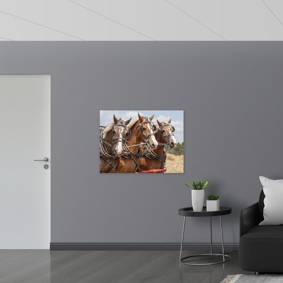 WallClassics - PVC Schuimplaat- Drietal Belgische Karpaarden - 100x75 cm Foto op PVC Schuimplaat