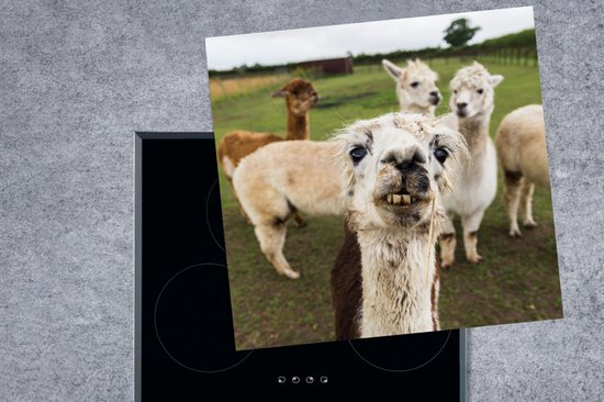 KitchenYeah® Inductie beschermer 78x78 cm - Lama - Selfie - Gras - Kookplaataccessoires - Afdekplaat voor kookplaat - Inductiebeschermer - Inductiemat - Inductieplaat mat