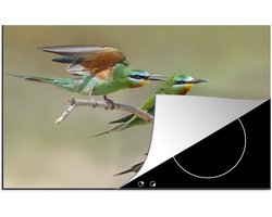 Foto: 