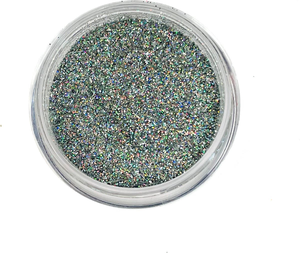Roena's Beauty - Glitter Pigment - Ice silver