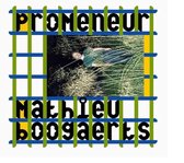 Mathieu Boogaerts - Promeneur (LP)