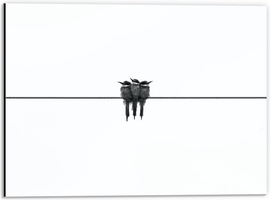 WallClassics - Dibond - Trio Vogels op Zwarte Lijn - 40x30 cm Foto op Aluminium (Wanddecoratie van metaal)