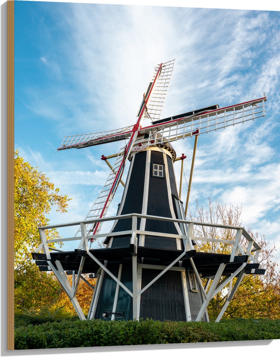 Dood van gier die tegen windmolen vloog had voorkomen kunnen worden
