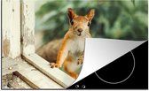 KitchenYeah® Inductie beschermer 77x51 cm - Eekhoorn - Raam - Bosdieren - Kookplaataccessoires - Afdekplaat voor kookplaat - Inductiebeschermer - Inductiemat - Inductieplaat mat