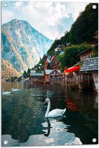 Tuinposter – Zwanen in het Water bij Huisjes aan de Berg - 50x75 cm Foto op Tuinposter (wanddecoratie voor buiten en binnen)