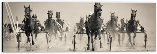 Dibond - Groep Rennende Paarden (zwart- wit) - 60x20 cm Foto op Aluminium (Wanddecoratie van metaal)