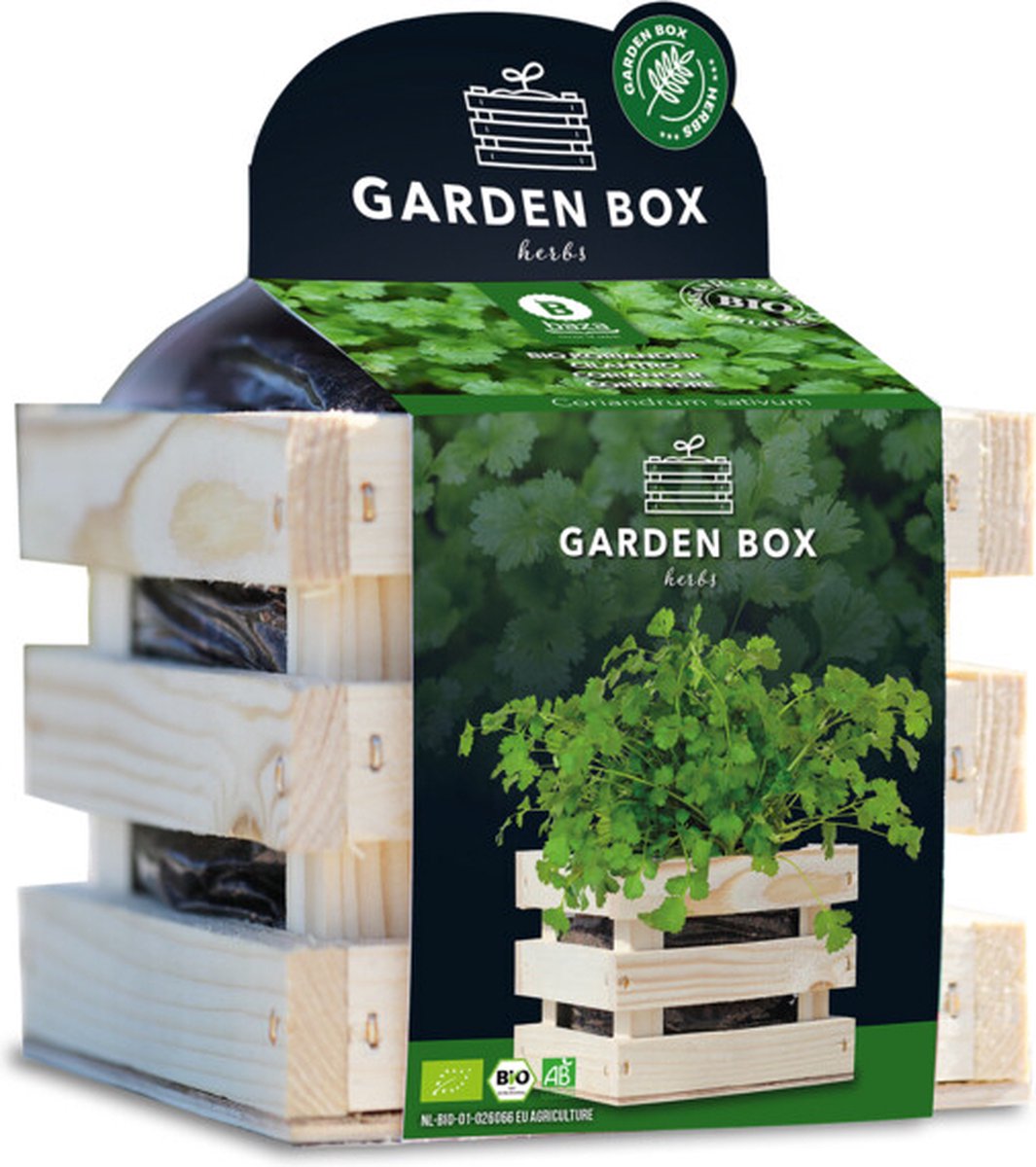 Baza Garden Box Bio Koriander