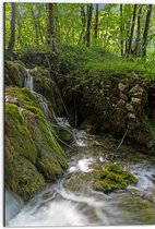 Dibond - Kleine Watervallen Stromend in Riviertje in het Bos - 50x75 cm Foto op Aluminium (Wanddecoratie van metaal)