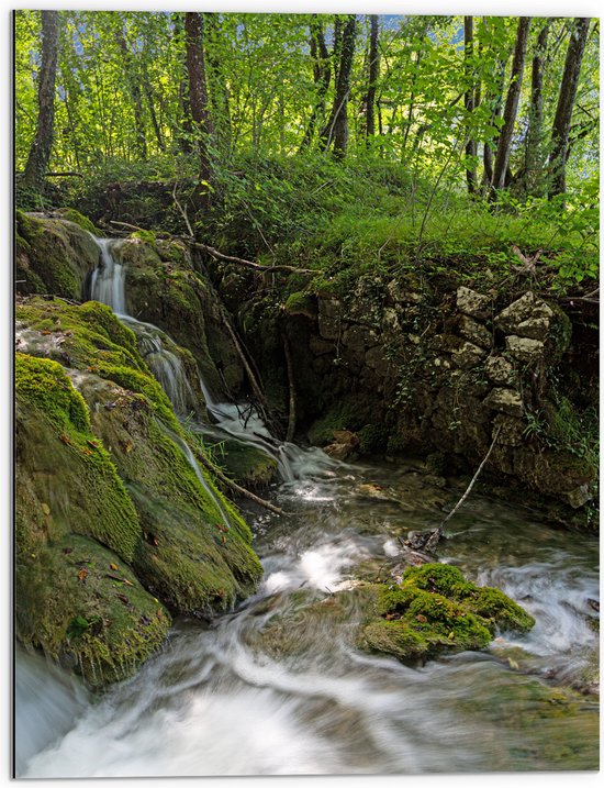 Dibond - Kleine Watervallen Stromend in Riviertje in het Bos - 60x80 cm Foto op Aluminium (Wanddecoratie van metaal)