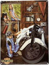 Harley-Davidson Curious Kids Metalen Bord - 33 x 43cm