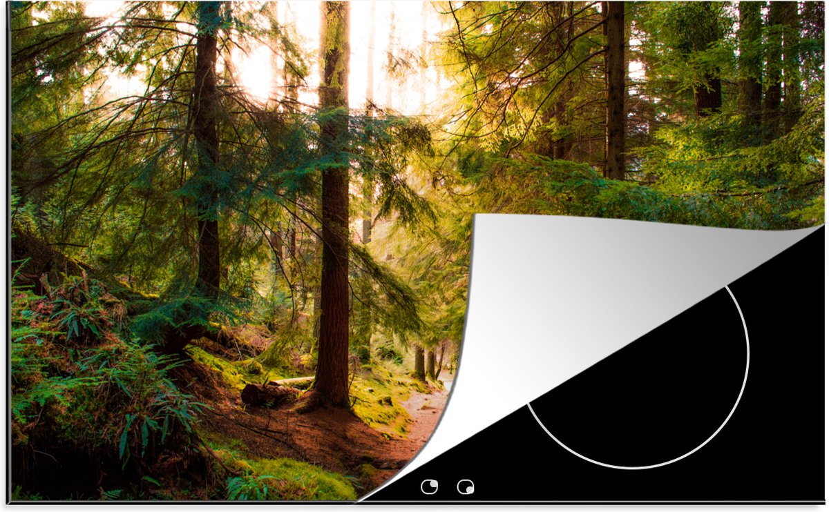 KitchenYeah® Inductie beschermer 77x51 cm - Bos - Pad - Bomen - Groen - Zon - Natuur - Kookplaataccessoires - Afdekplaat voor kookplaat - Inductiebeschermer - Inductiemat - Inductieplaat mat