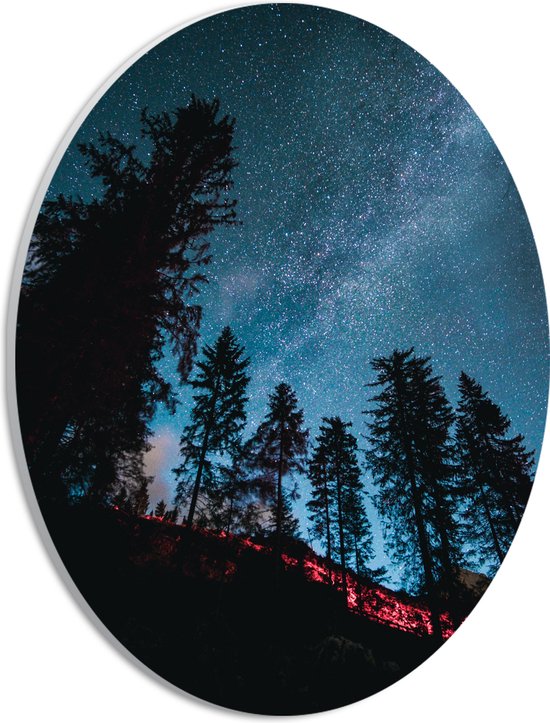 WallClassics - PVC Schuimplaat Ovaal - Onderaanzicht van Hoge Donkere Bomen onder Heldere Sterrenhemel - 21x28 cm Foto op Ovaal (Met Ophangsysteem)