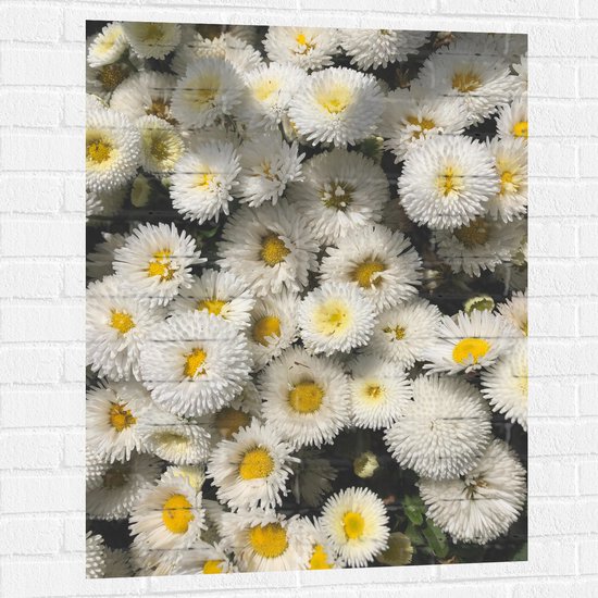 WallClassics - Muursticker - Groepje Wit/ Gele Bloemetjes - 75x100 cm Foto op Muursticker