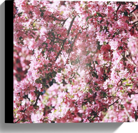 Canvas - Licht Roze Bloementjes - 30x30 cm Foto op Canvas Schilderij (Wanddecoratie op Canvas)