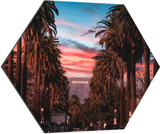 Dibond Hexagon - Los Angeles Hollywood met Palmbomen - 80x69.6 cm Foto op Hexagon (Met Ophangsysteem)