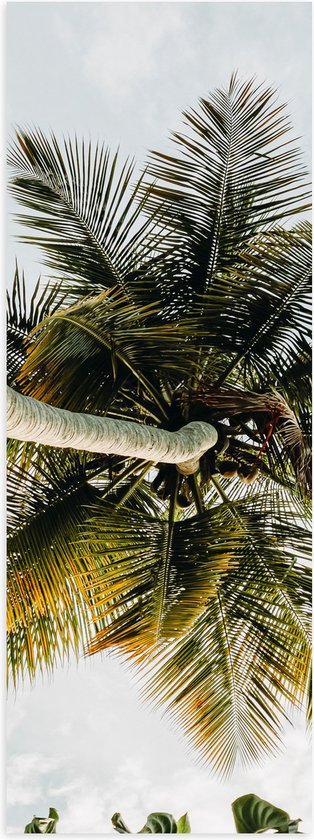 Poster (Mat) - Palmboom vanaf onder - 30x90 cm Foto op Posterpapier met een Matte look