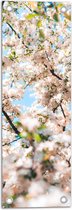Tuinposter – Licht Roze met Witte Bloesem - 20x60 cm Foto op Tuinposter (wanddecoratie voor buiten en binnen)
