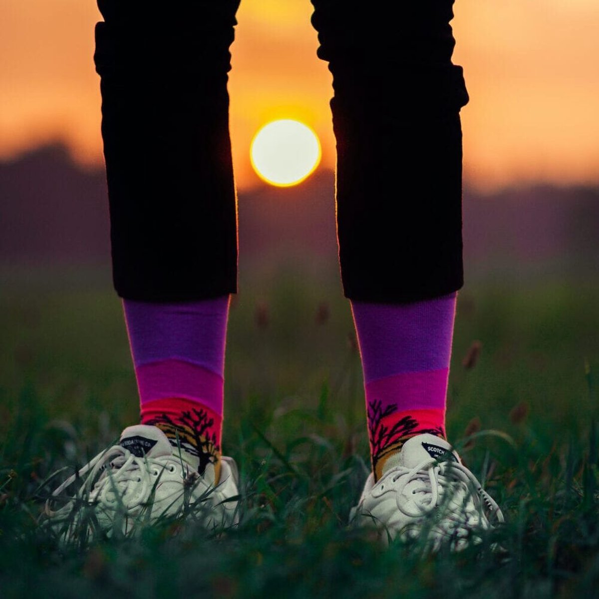 Herfstequinox sok Zon opkomst | herfst sokken | Multi-color | Herensokken en damessokken | Leuke, grappig sokken | Funny socks that make you happy | Sock & Sock