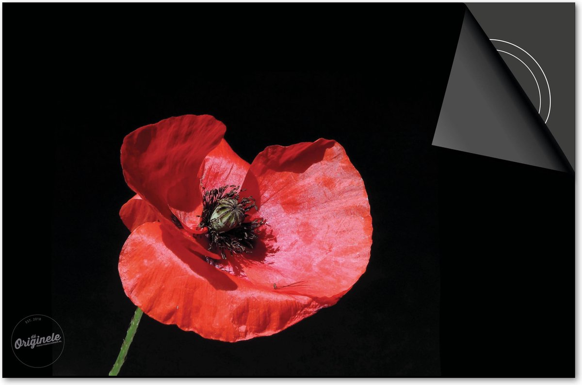 Inductie beschermer 76x51,5 - afdekplaat inductie mat - Dietrix Kookplaat beschermer - DELUXE - Bloemen en Planten - Klaproos op zwart