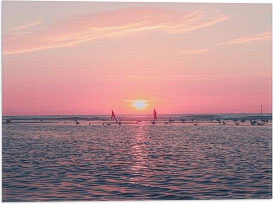 Vlag - Roze Zonsondergang aan Zee met Meeuwen - 40x30 cm Foto op Polyester Vlag