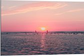 Dibond - Roze Zonsondergang aan Zee met Meeuwen - 90x60 cm Foto op Aluminium (Met Ophangsysteem)