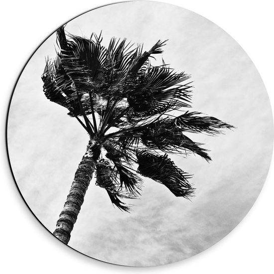 Dibond Muurcirkel - Harde Wind bij Palmboom - Zwart/Wit - 30x30 cm Foto op Aluminium Muurcirkel (met ophangsysteem)