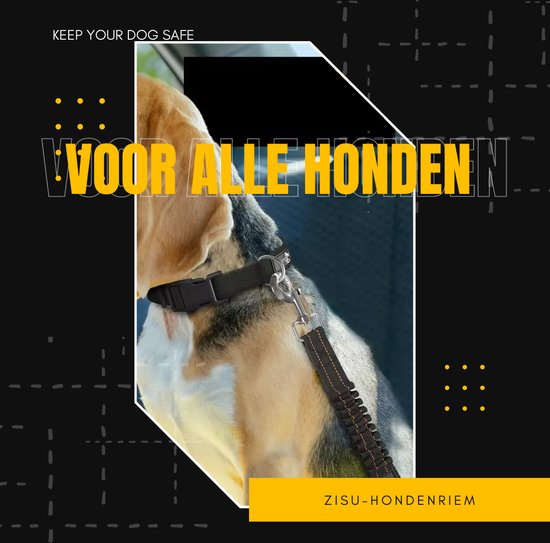 Autogordel hond - Honden autogordel - Hondengordel - Hondentuig - Hondenharnas - Verstelbaar en elastische - Zwart - RVS - ZISU®