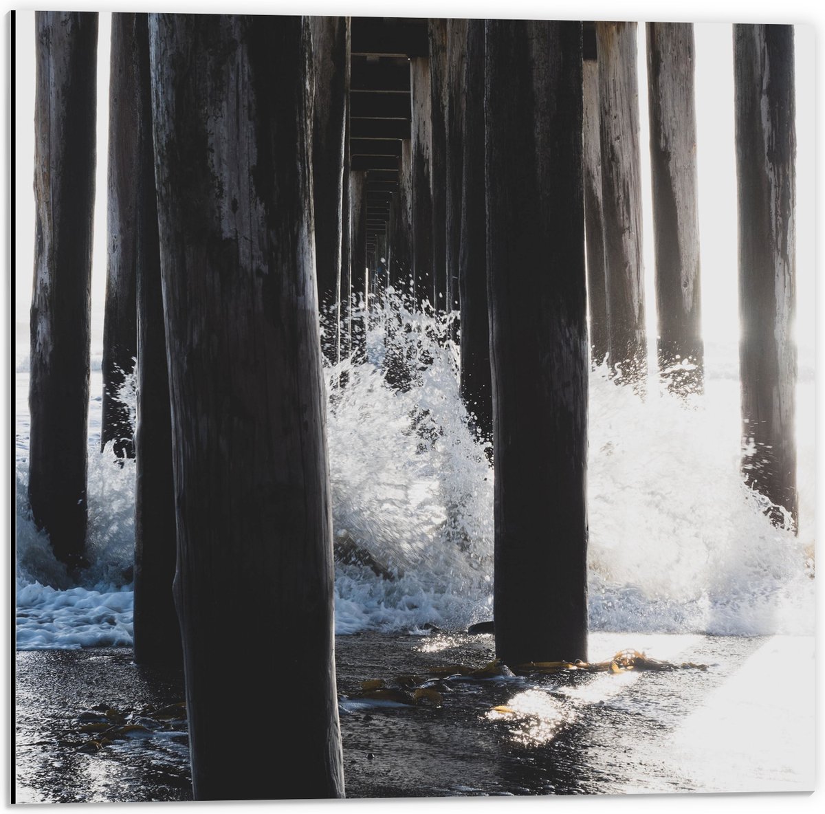 Dibond - Water klots4end tegen Houten Palen in de Zee - 50x50 cm Foto op Aluminium (Wandde
