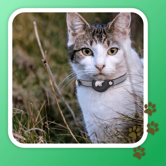 Petspace - AirTag halsband - Kattenhalsband AirTag - Kattenbandje - Geschikt voor Apple AirTag - Katten Accessoire - Reflecterend - Maat M - PetSpace