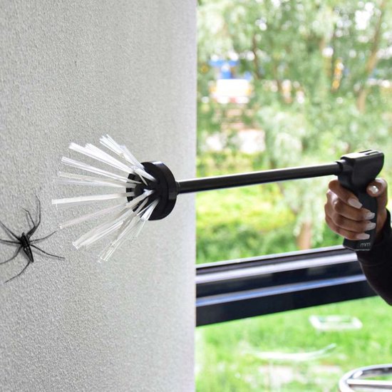 Hand met spinnenvanger pakt een zwarte spin op een muur.