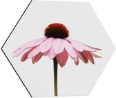 WallClassics - Dibond Hexagon - Zijaanzicht van Roze Bloem - 50x43.5 cm Foto op Hexagon (Met Ophangsysteem)