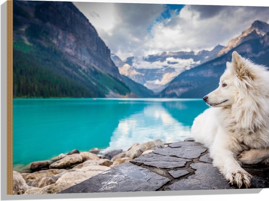 WallClassics - Hout - Witte Hond liggend bij Bergen en Water - Samojeed - 80x60 cm - 9 mm dik - Foto op Hout (Met Ophangsysteem)