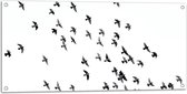 WallClassics - Tuinposter – Zwerm Vogels - 100x50 cm Foto op Tuinposter (wanddecoratie voor buiten en binnen)