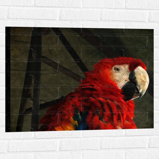 WallClassics - Muursticker - Tropische Vogel - Papegaai - 80x60 cm Foto op Muursticker