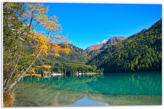 PVC Schuimplaat - Bomen en Bergen met Water in Landschap - 60x40 cm Foto op PVC Schuimplaat (Met Ophangsysteem)