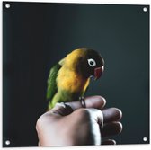 WallClassics - Tuinposter – Vogel op Hand - Zwartmaskeragapornis - 80x80 cm Foto op Tuinposter (wanddecoratie voor buiten en binnen)
