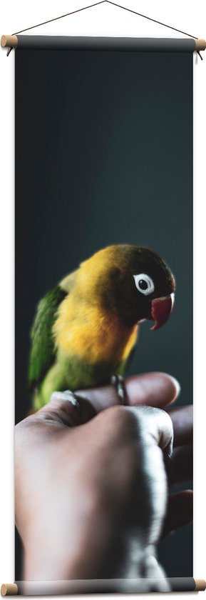 WallClassics - Textielposter - Vogel op Hand - Zwartmaskeragapornis - 40x120 cm Foto op Textiel