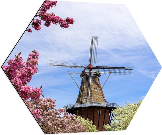 Dibond Hexagon - Bloesembomen voor Traditione Molen in Nederland - 80x69.6 cm Foto op Hexagon (Met Ophangsysteem)